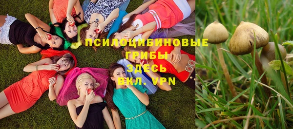 крисы Алексеевка