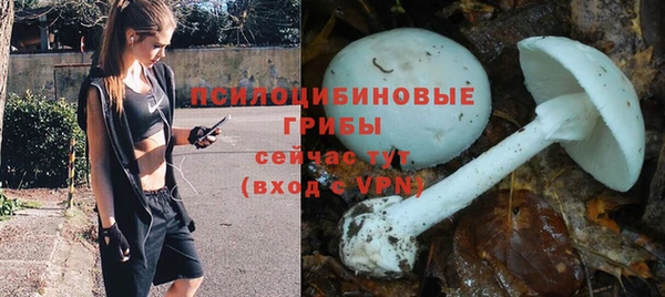 крисы Алексеевка