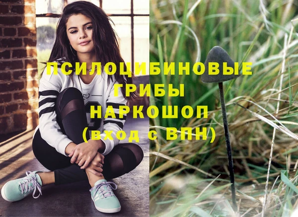 ГАЛЛЮЦИНОГЕННЫЕ ГРИБЫ Алексин